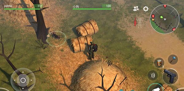 Last Day On Earth狗狗获取方法 Last Day On Earth狗狗获取方法