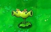 植物大战僵尸黑西游版