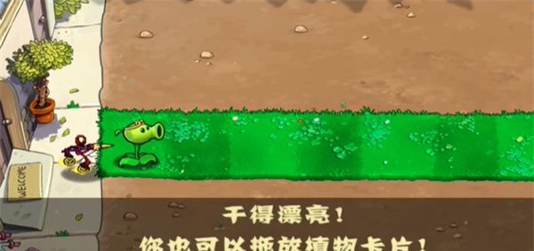 植物大战僵尸黑西游版