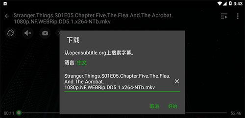XPlayer - 万能视频播放器
