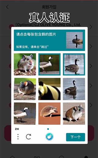 Mnet Plus官网