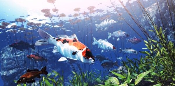 《我的锦鲤》免安装中文版