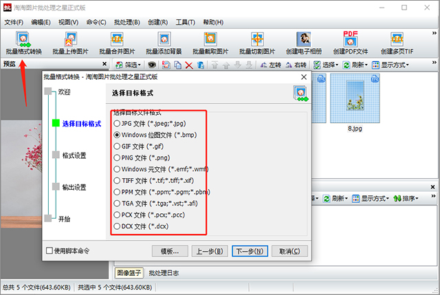 淘淘图片批处理之星