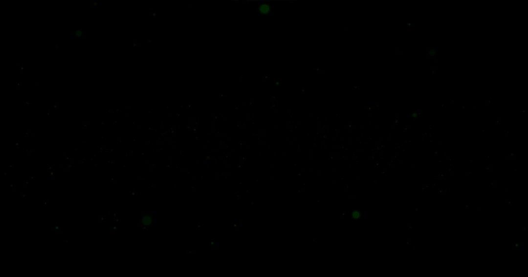 《山谷：王冠之影》官方版