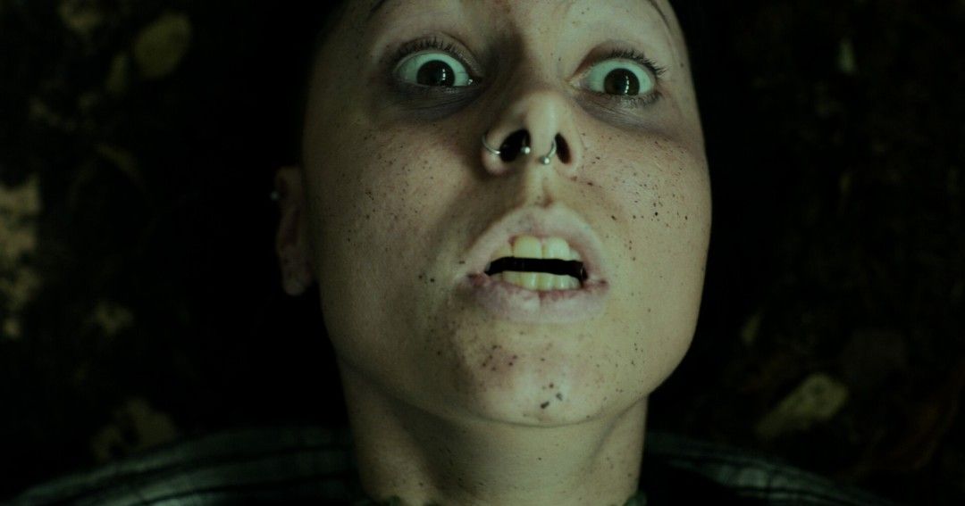 《幽林深处》官方版