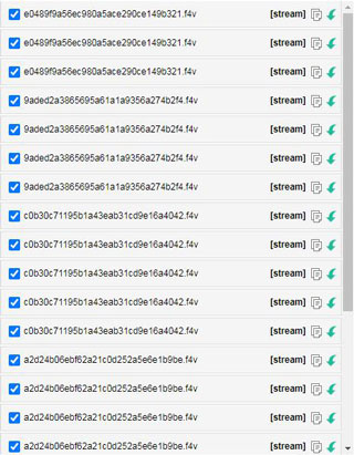猫抓插件最新版
