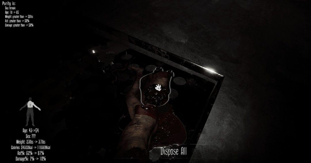 《Paracesium》官方版