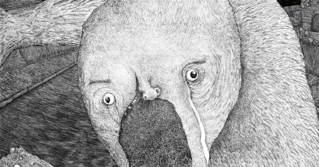 《OFFERING APP》官方版