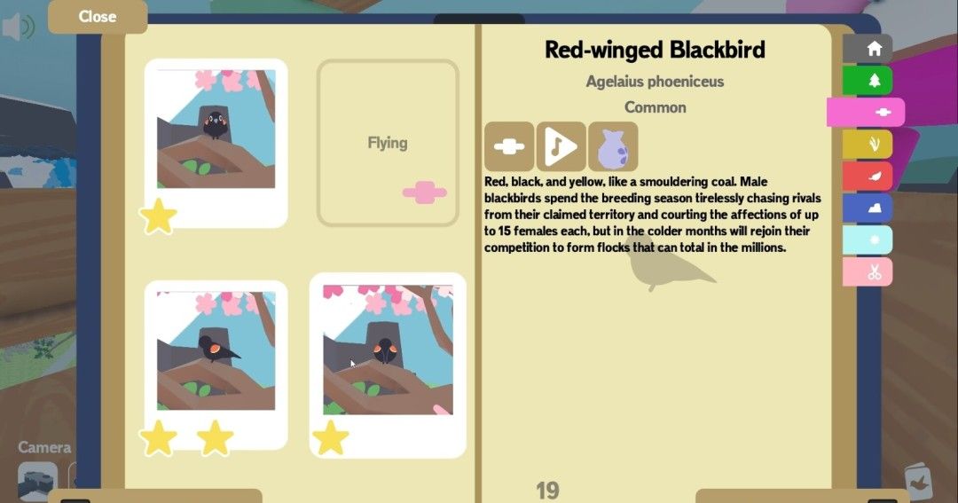 《Flock Around》官方版