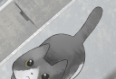迷途猫logo图