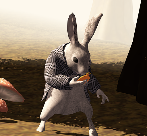 爱丽丝梦游仙境图标