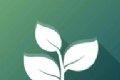 禅意2048logo图