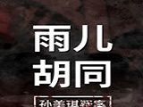 孙美琪疑案：雨儿胡同logo图