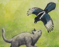 米洛和喜鹊图标