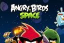 愤怒的小鸟太空版logo图