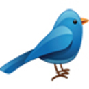 云雀361正版图标