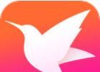 迅雷直播logo图