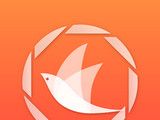 飞鸟浏览器图标