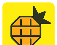 网易菠萝视频logo图