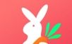 兔子优选图标