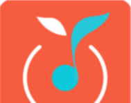青桔音乐logo图