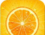 香橙浏览器图标