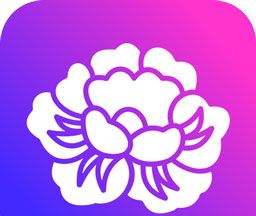 牡丹优选图标