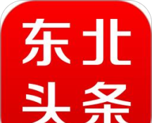 东北头条图标