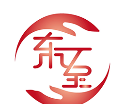 掌上东至logo图