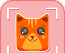 猫脸相机图标