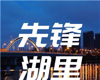 先锋湖里logo图