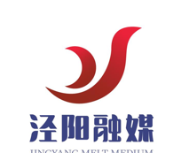 爱泾阳logo图