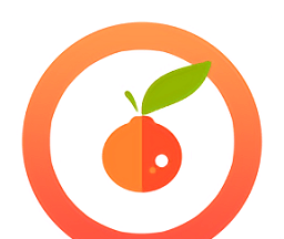 千橙浏览器图标