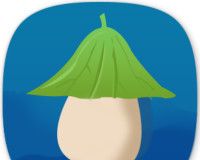 冬瓜视频logo图