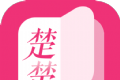 楚楚小说阅读器logo图