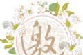 派对邀请logo图