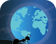 蚂蚁大师app图标