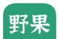 野果阅读applogo图