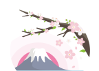 樱花影视applogo图