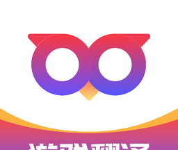 Qoo游戏翻译器logo图