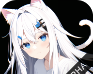 次元动画城logo图