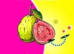 芭乐视logo图