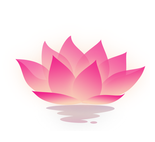 荷花工具箱logo图