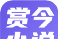赏今小说logo图
