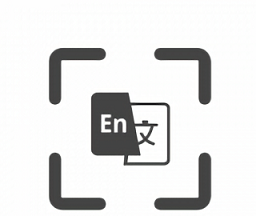光氪全屏翻译图标