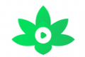 莲华短剧logo图