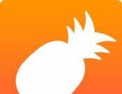 菠萝视频logo图