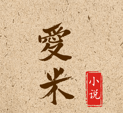 爱米小说logo图