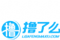 撸了么小说logo图