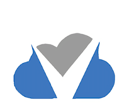vnet抓包logo图
